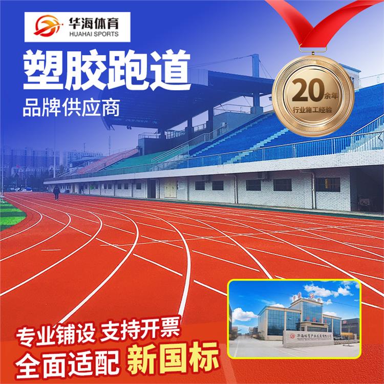 枣庄市epdm颗粒预制跑道卷材 - 方案